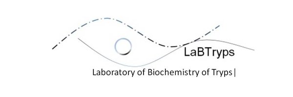 Ariel_Lab Profile Banner