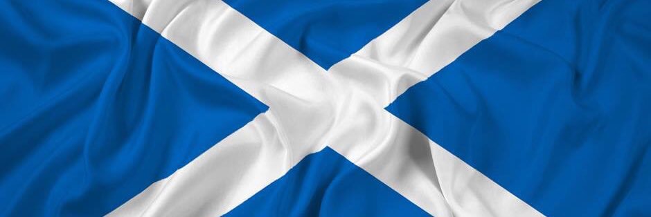 davidbutchart's profile banner image