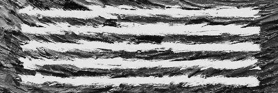 amnh_st's profile banner image