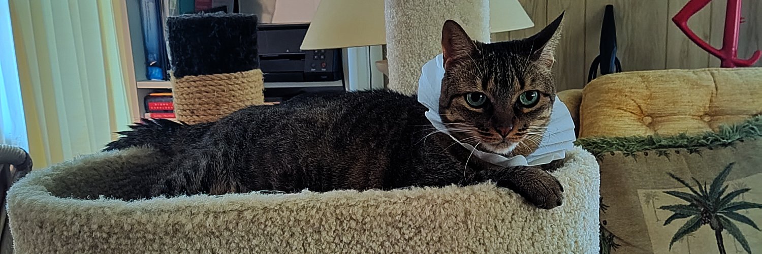 Soo Brownell🐳🦋 banner