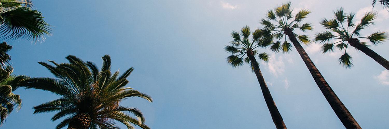 sassystephen1's profile banner image