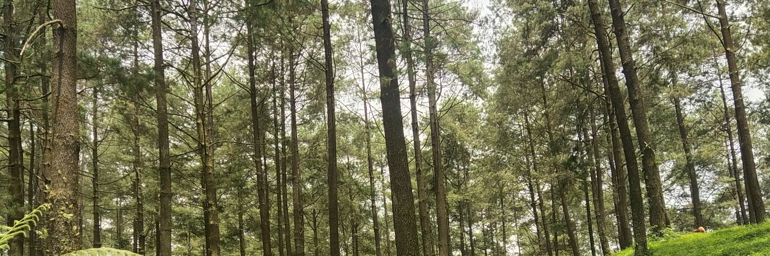 d_phe's profile banner image