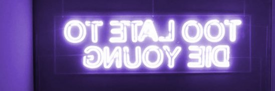 Bully's banner
