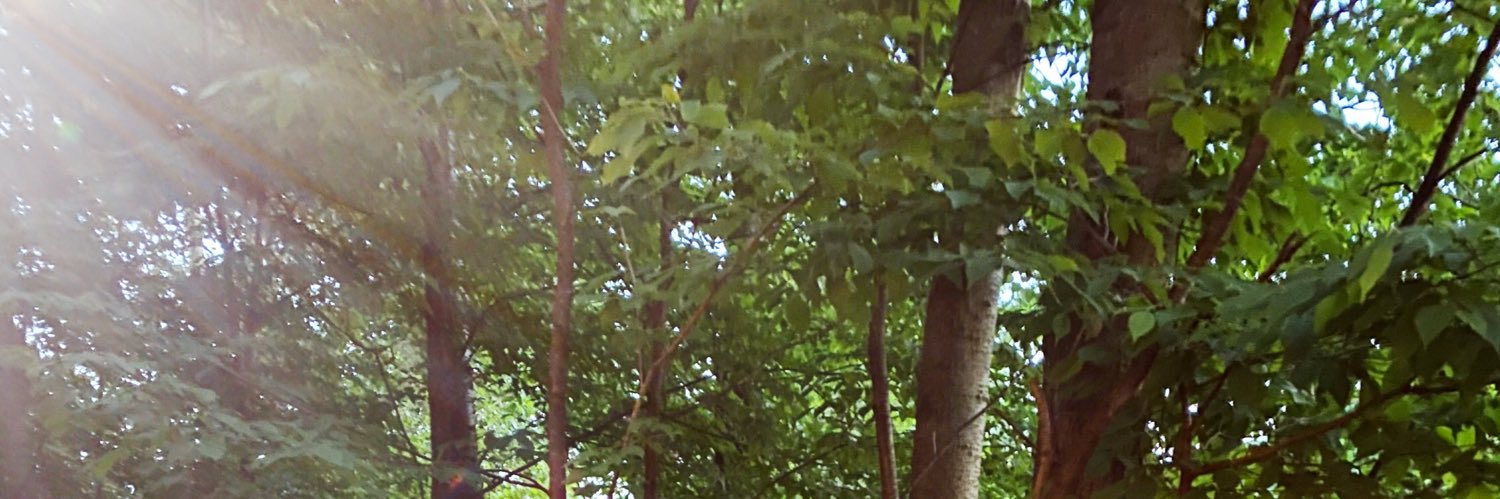 erin5polce's profile banner image