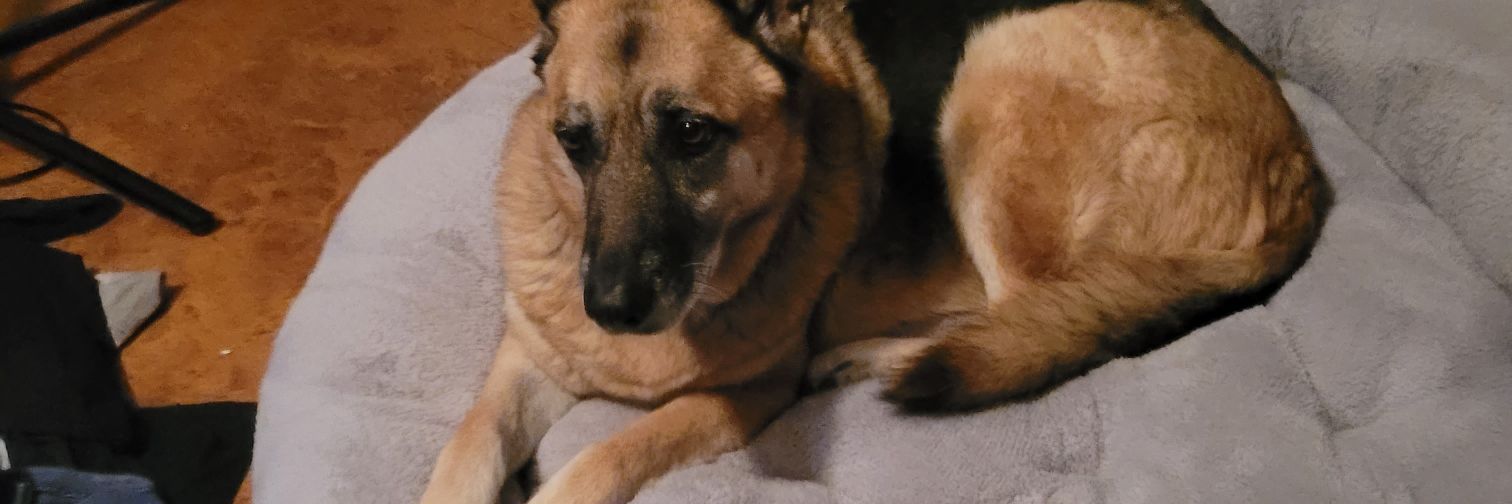 Matthewlabrie banner