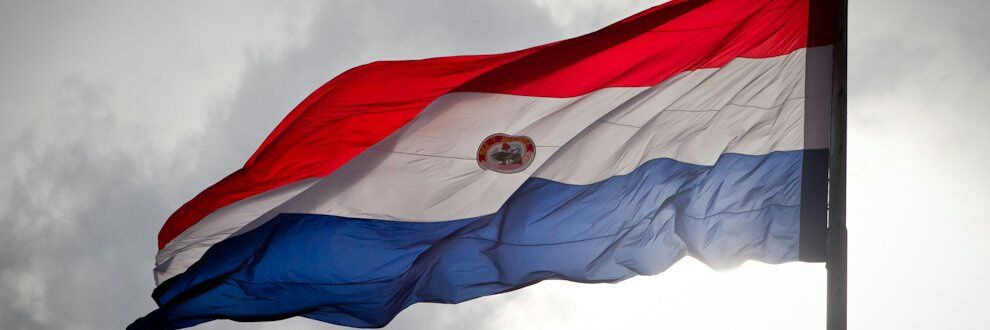 CNEA (Paraguay)'s banner