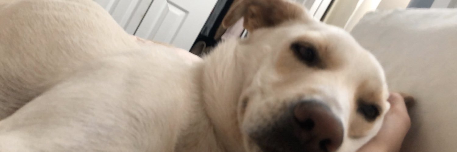 lyssabyssa_'s profile banner image