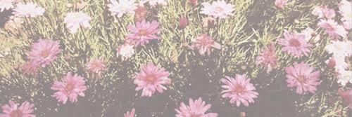 IxzelBaez's profile banner image