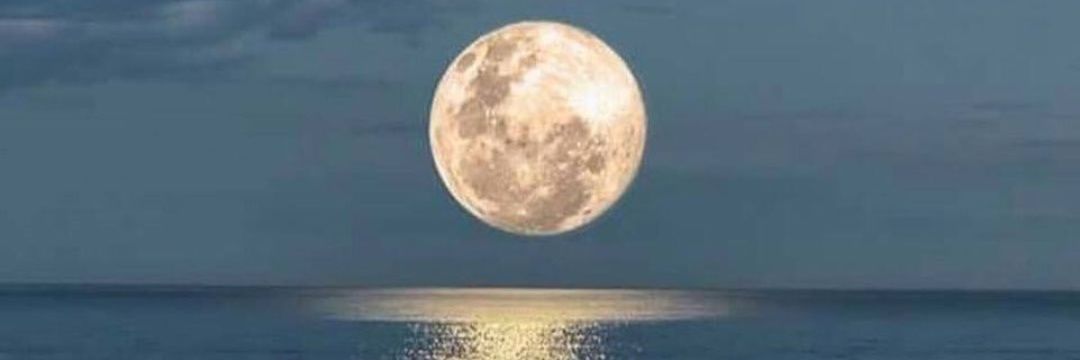 ALotaibi_Amer's profile banner image