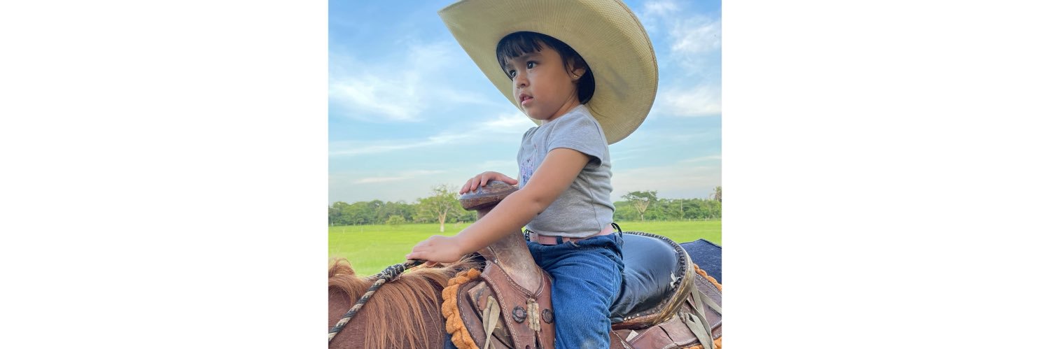 Elyvertiz's profile banner image