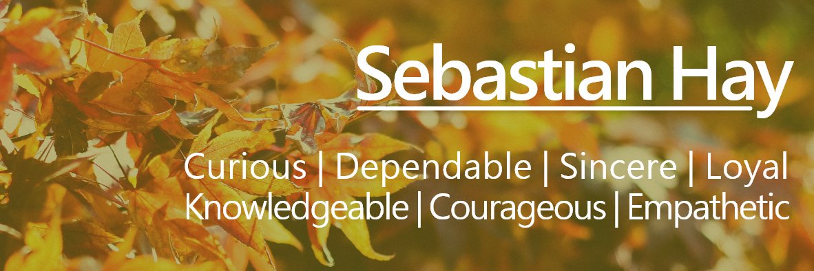 Sebastian Hay banner