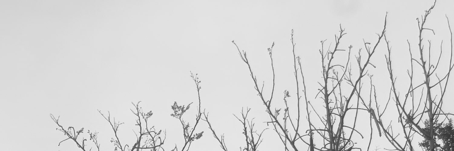 iMoohmmad's profile banner image