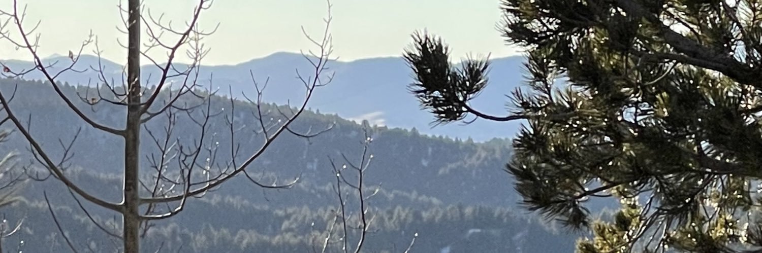 mudbug25's profile banner image
