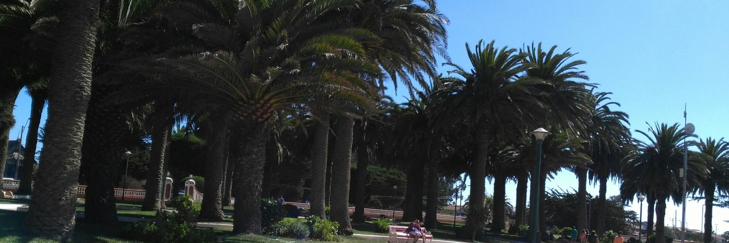 PilarParraGonz2's profile banner image