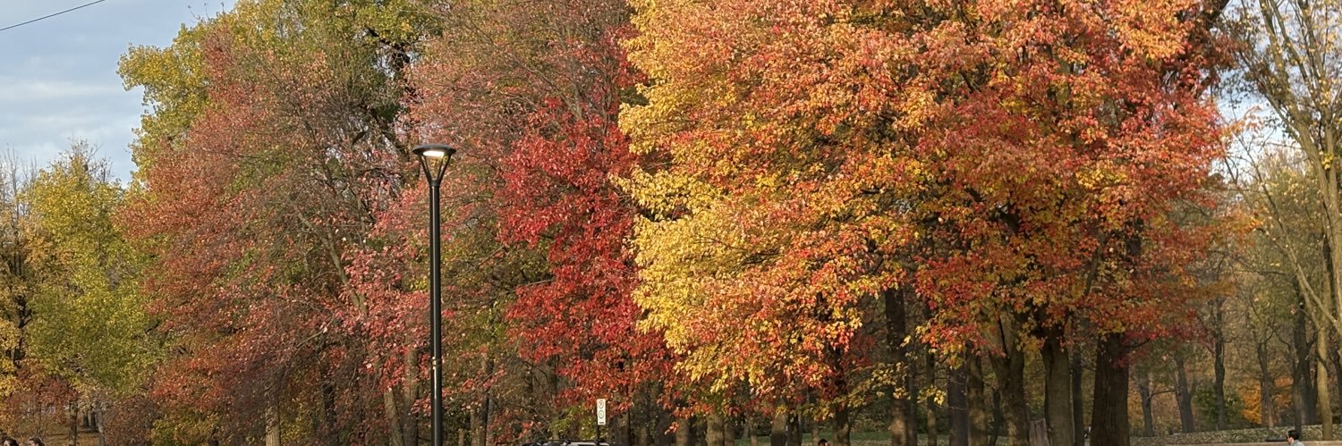 BrasCaDan's profile banner image