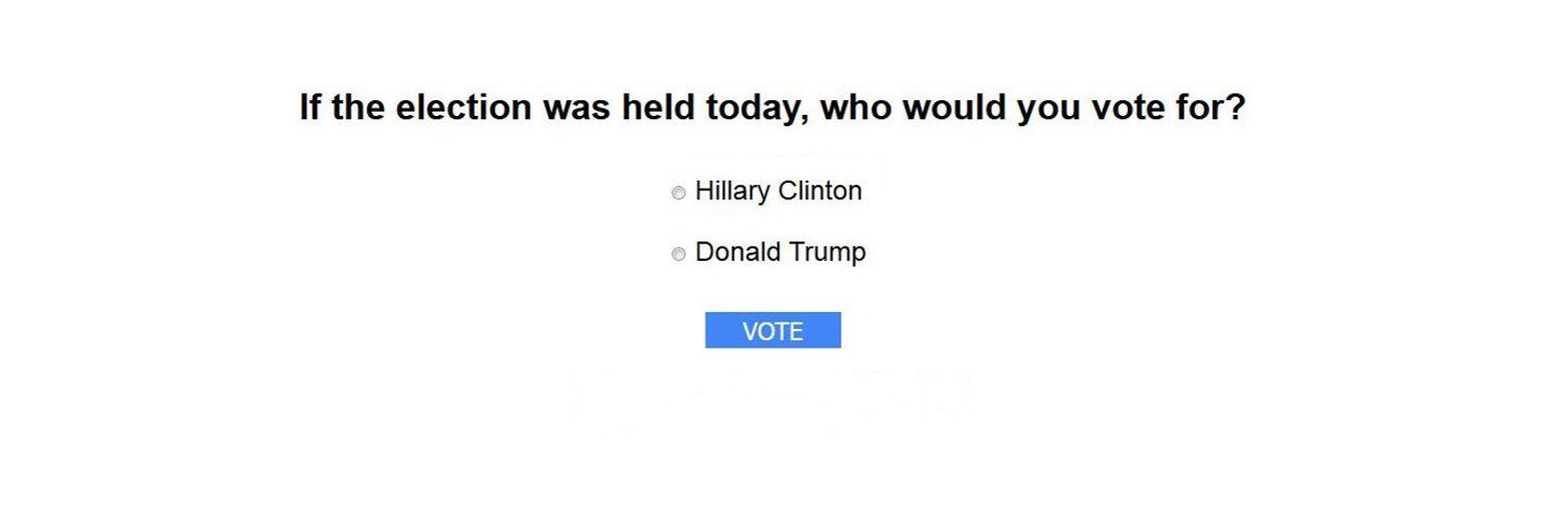 NovElection2024 banner