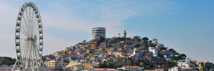 Roberto Gilbert F.C. banner