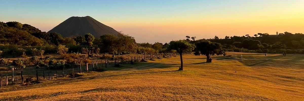 _WendV_'s profile banner image