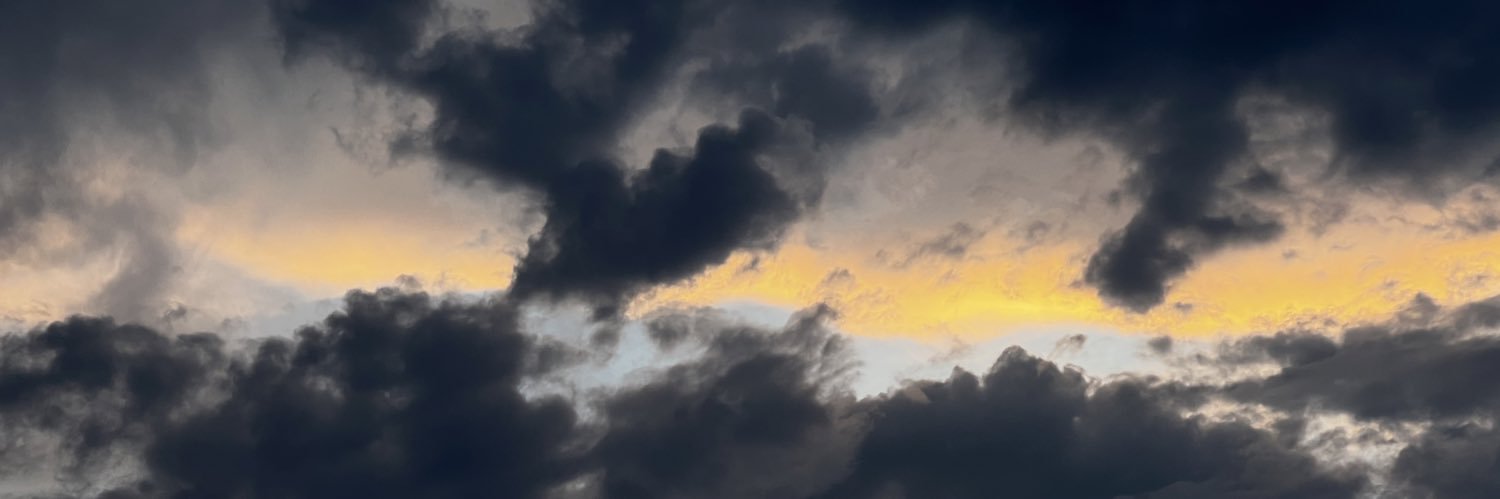 Soranee_11's profile banner image