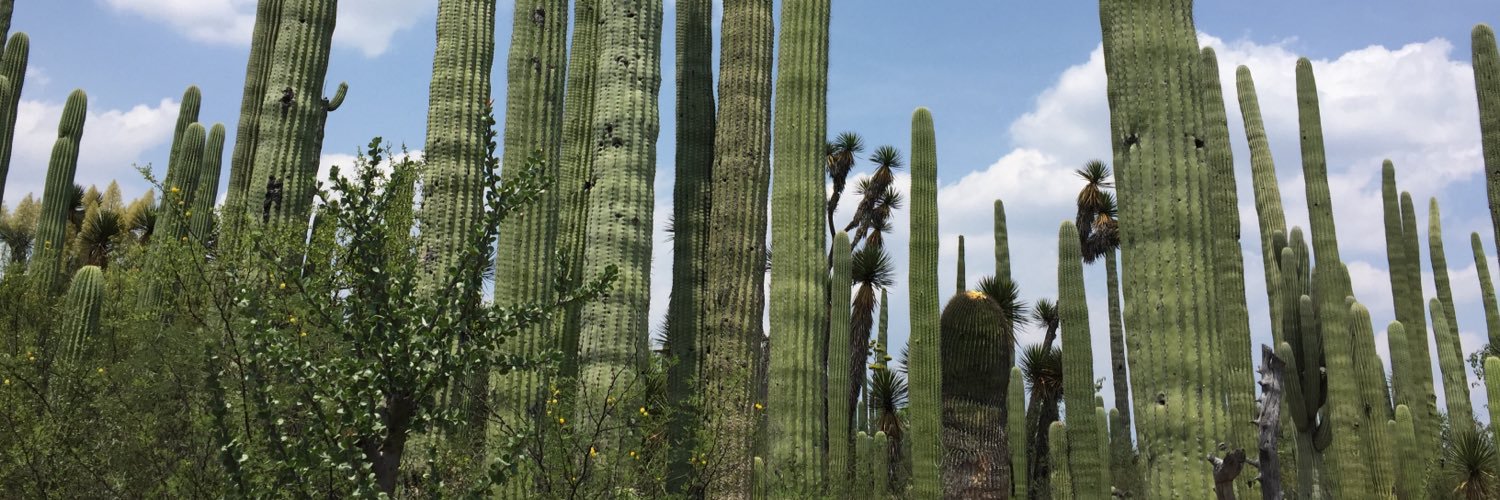 JavierVaMend17's profile banner image