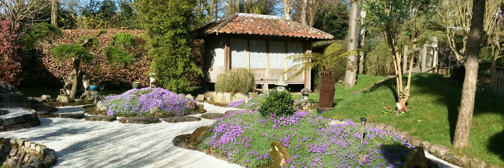 Andrei Zvelindovsky banner