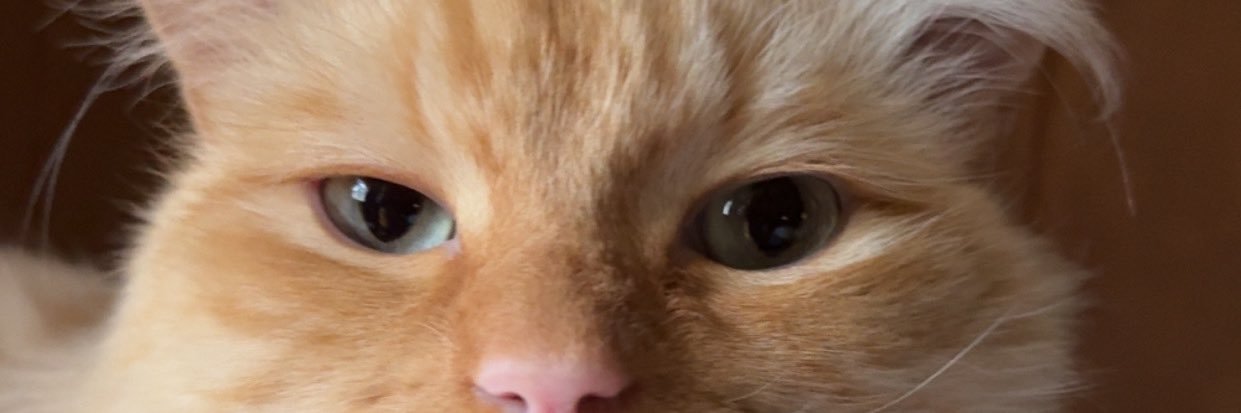 jakeyeags's profile banner image