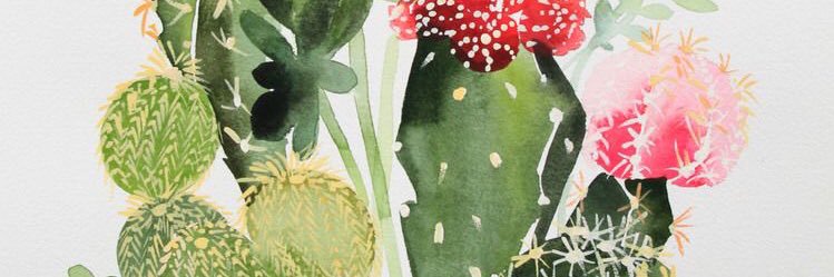emirisadler's profile banner image