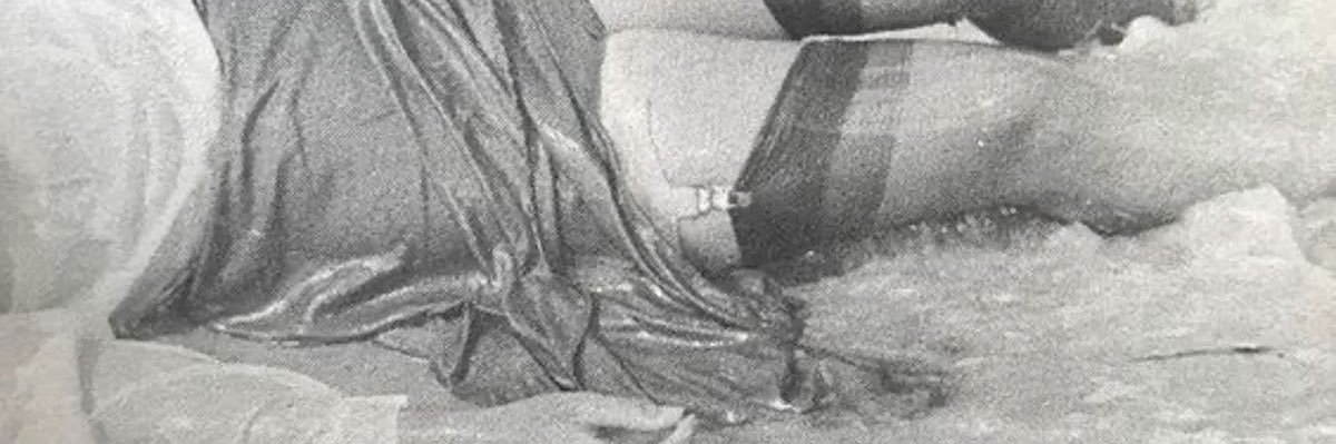 🕷️ banner