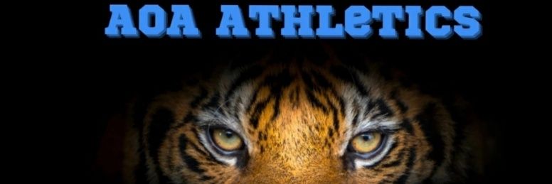 AcademyoftheAmericas's banner