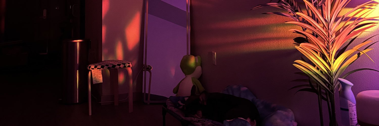 bern444rd's profile banner image