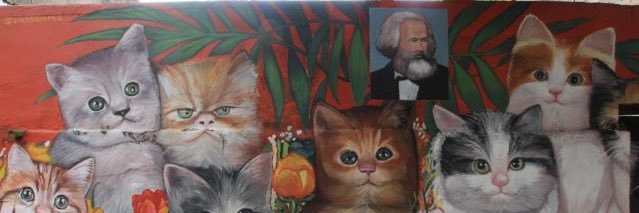 vili banner