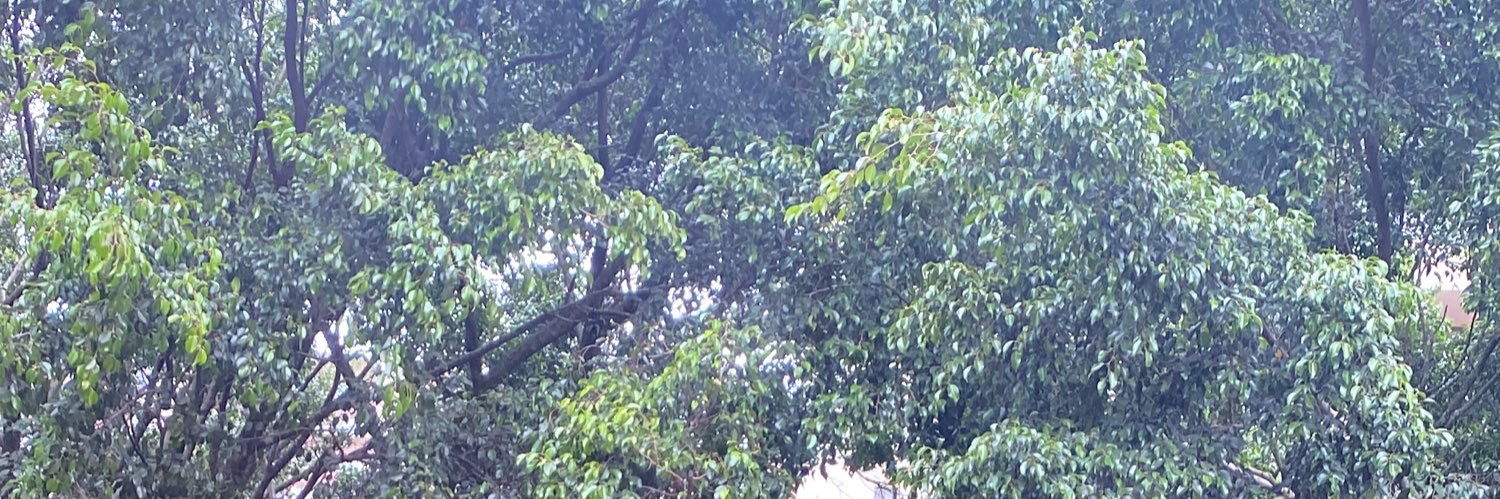 jhojal70's profile banner image