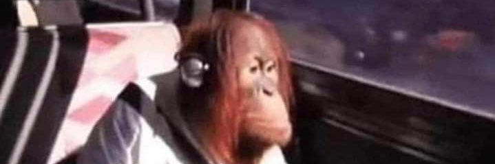 pkelley98's profile banner image