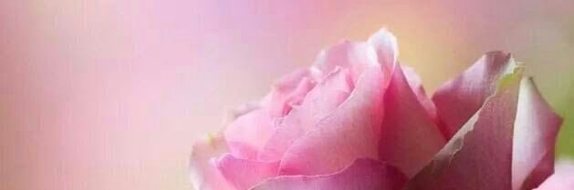 saud_555s's profile banner image