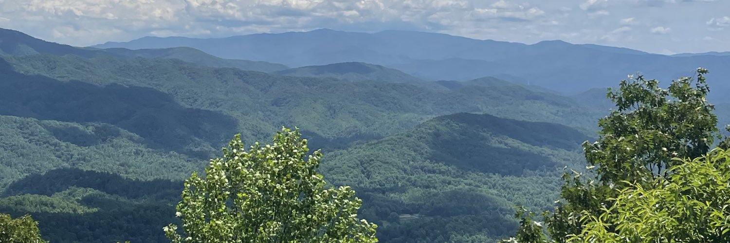 dwanmckibbin12's profile banner image