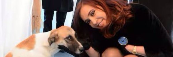 cuervocacha Profile Banner