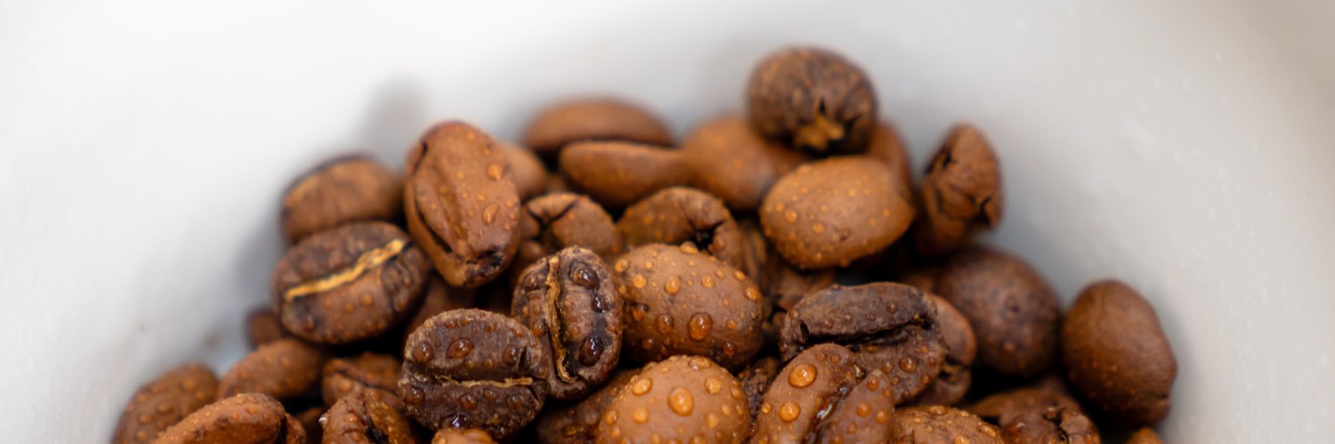 Christopher H. Hendon banner