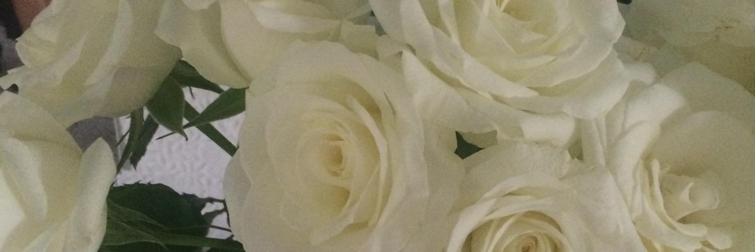 hllightfoot's profile banner image