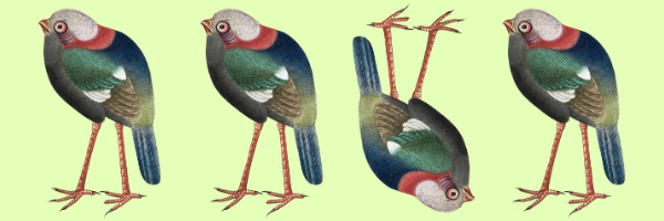 Ashton Wesner PhD banner