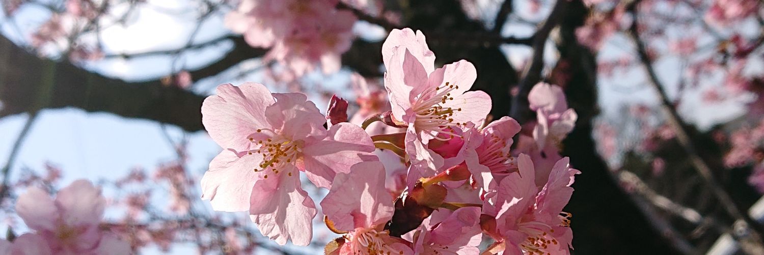 ni_na_273's profile banner image