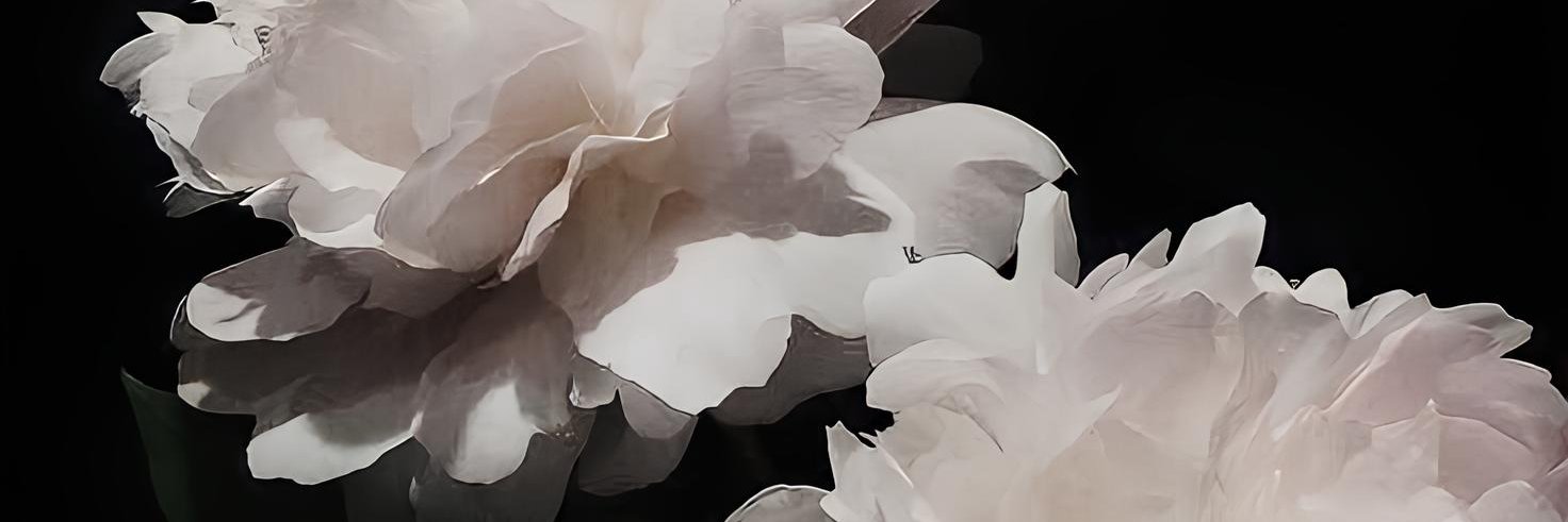 𝑻𝒊𝒇𝒇𝒂𝒏𝒚. banner