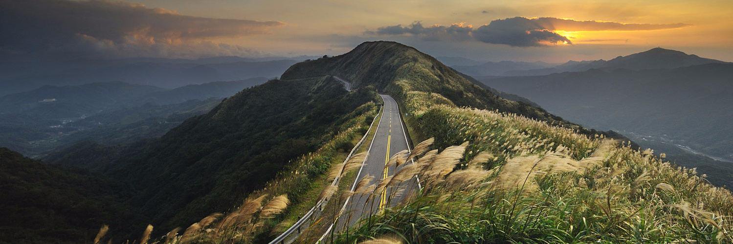 The Runner Probs banner