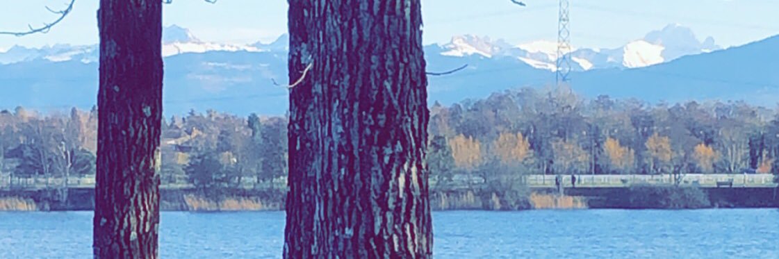hhuman_being's profile banner image