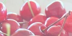 NikiCoffee's profile banner image