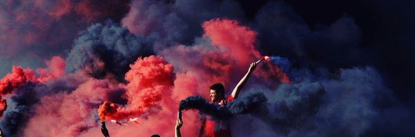 swanguardians Profile Banner