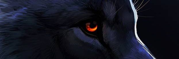 20Sean16's profile banner image