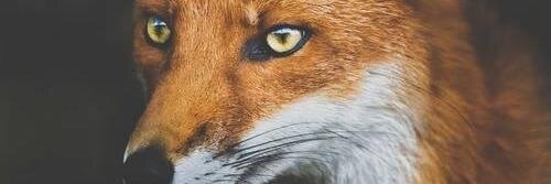 weShowtek's profile banner image