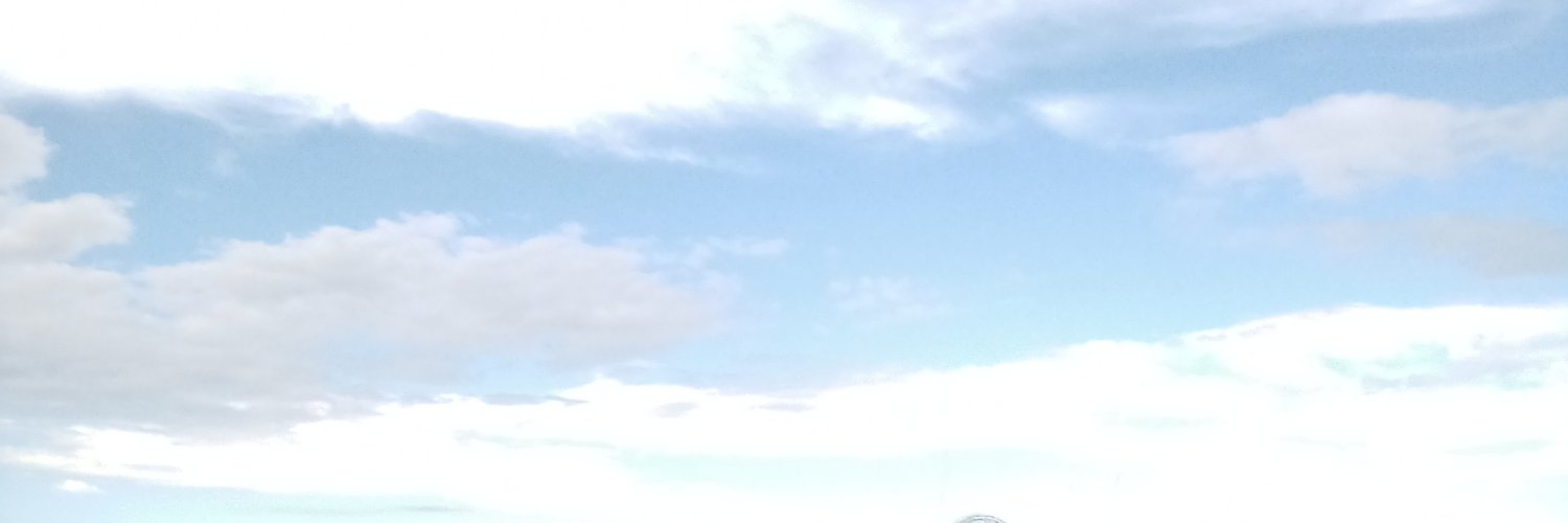 srta_problema's profile banner image