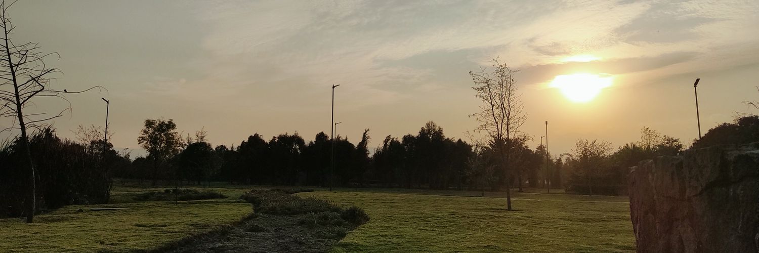 ScoutFoxGamer's profile banner image