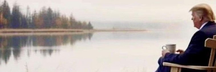 42weasels's profile banner image